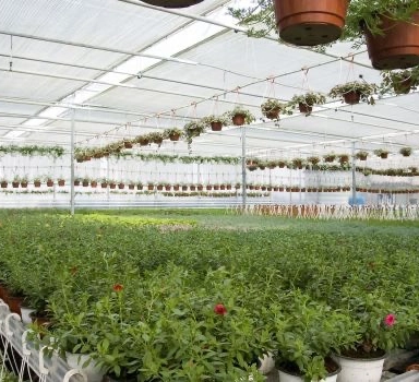 Polikarbonát oldalra